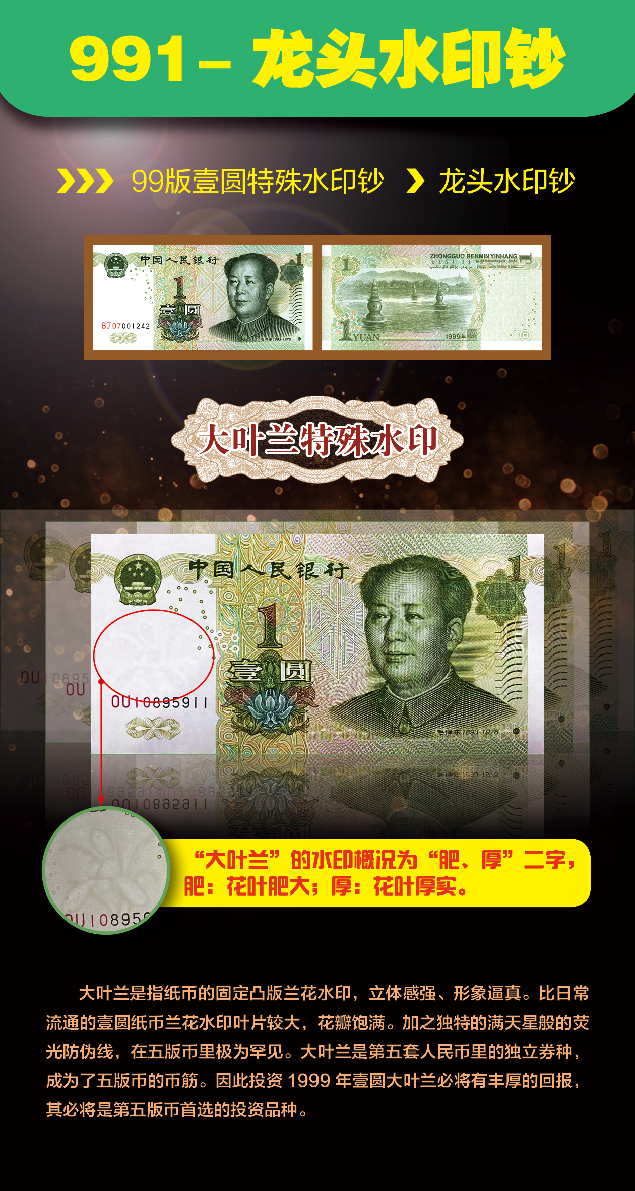 图片14.jpg